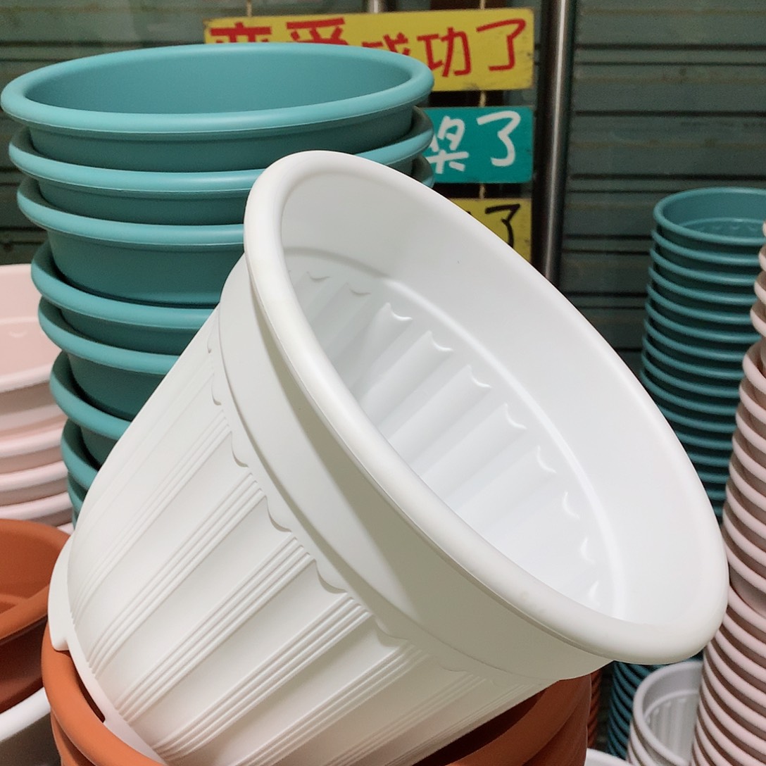 树脂罗马口28白4个无托