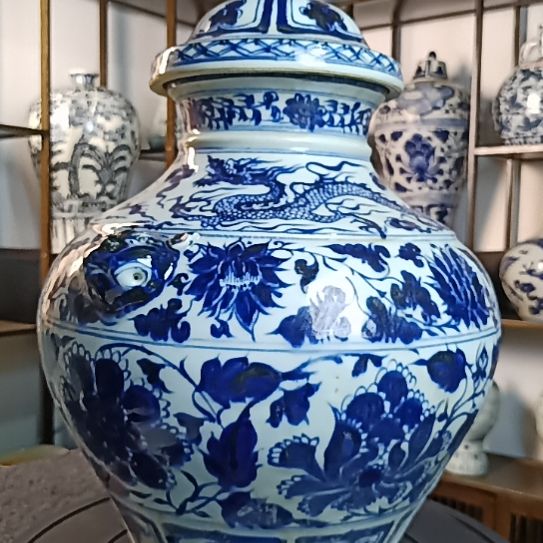 青花缠枝牡丹花卉纹将军罐