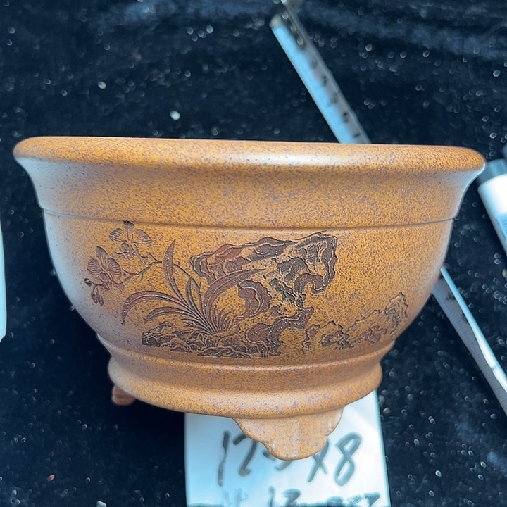 wwwwwwww娥娥薇薇