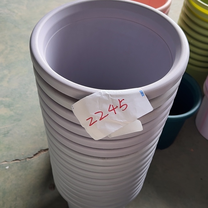 编号2245口33无托10个