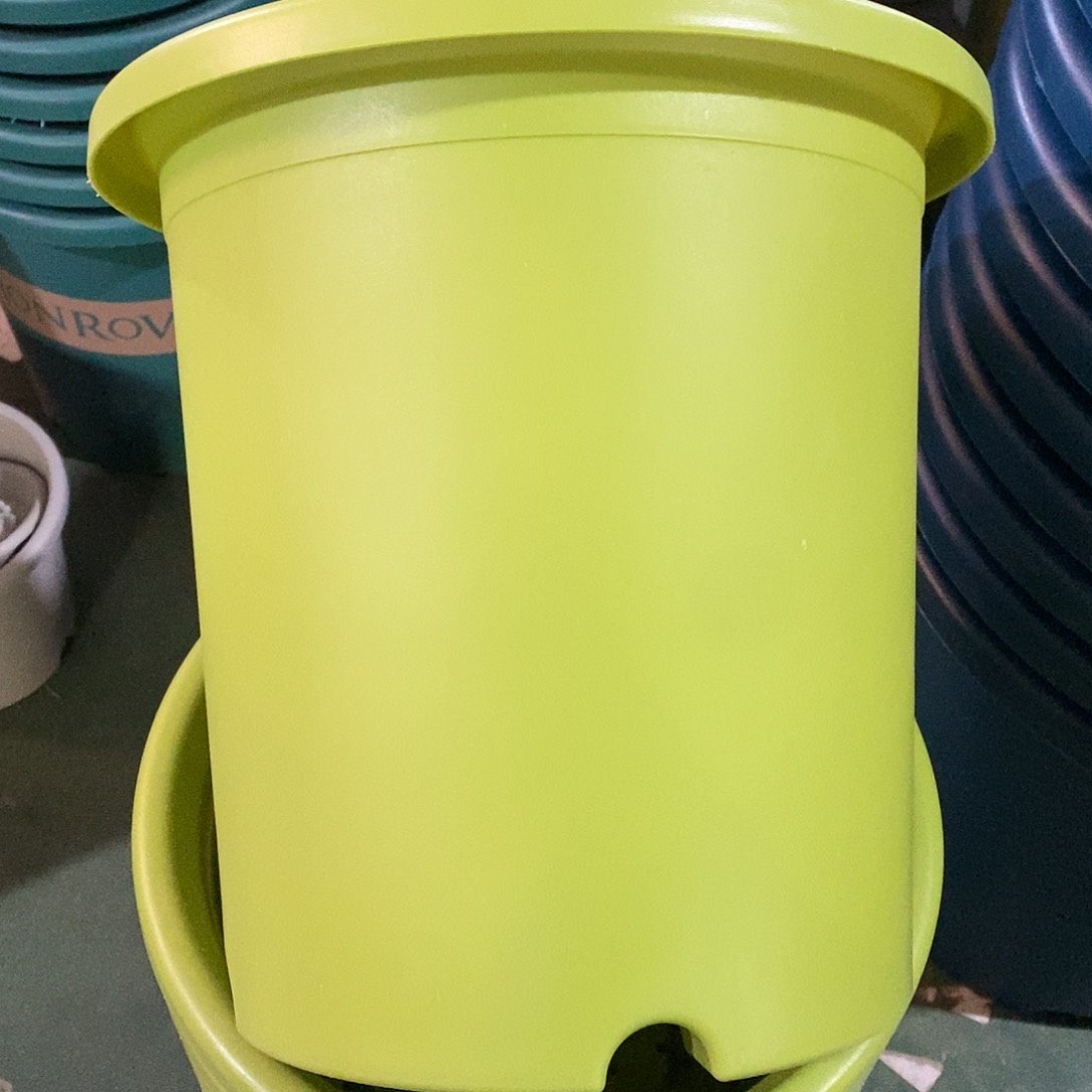 树脂特价7#无拖果绿6个