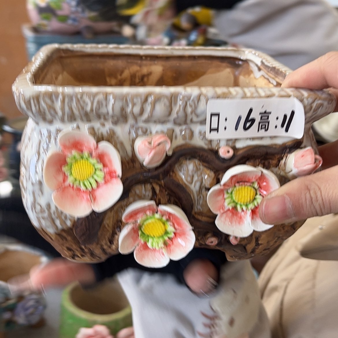 【闪购商品】红陶福利