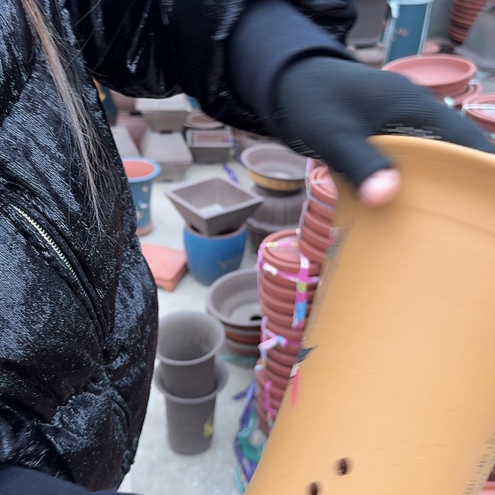 紫砂黄舍得小兰花盆