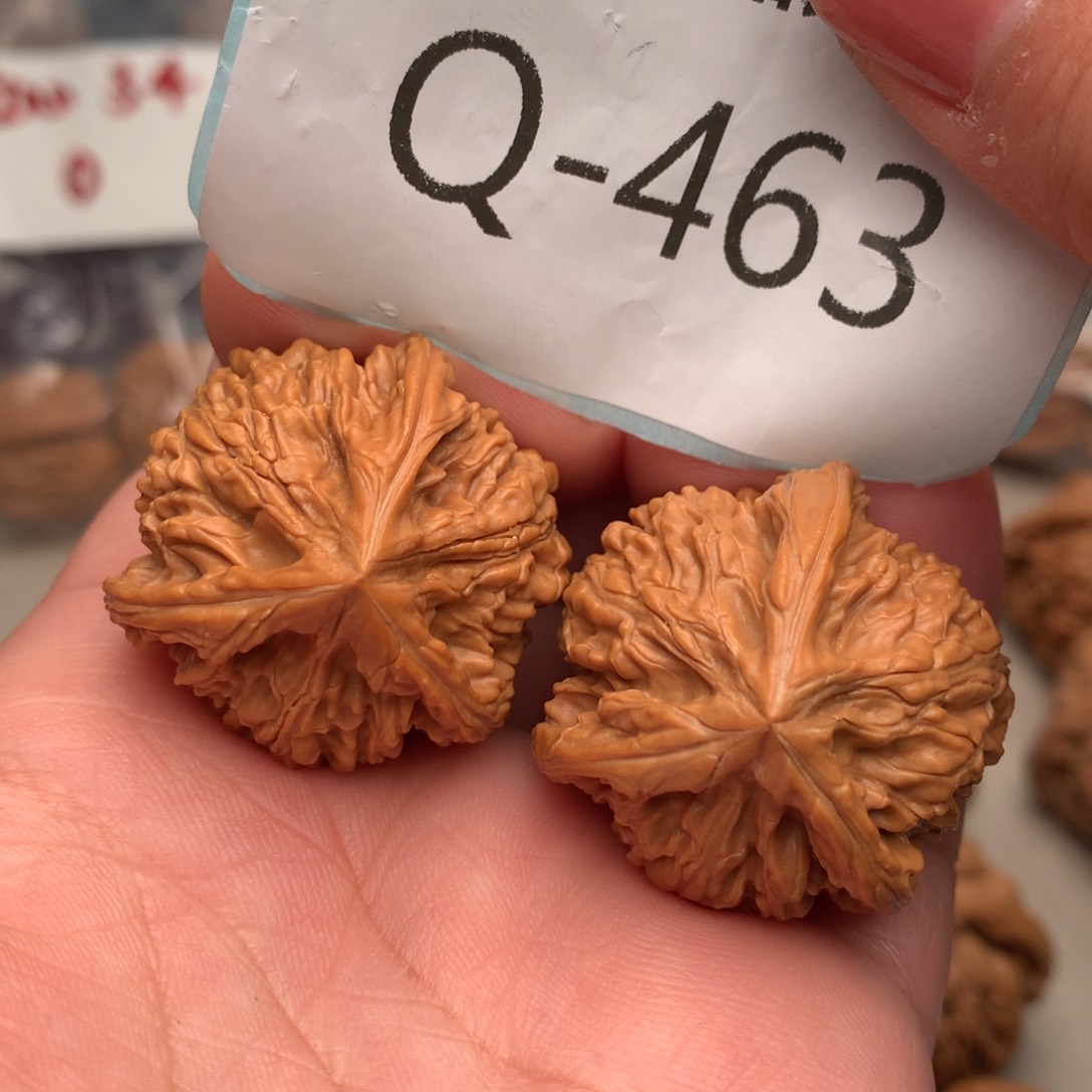 文玩核桃把件33转圈球奔………..