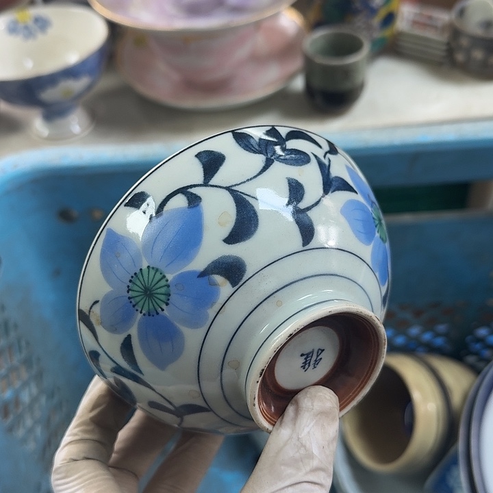 碟开播啦…开播啦