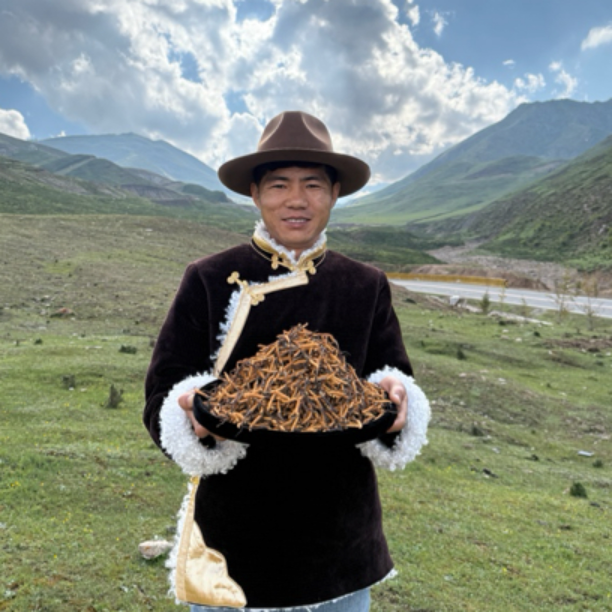 【冬虫夏草】头期小草地高海拔干冬虫夏草