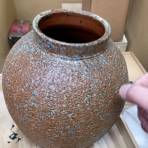 紫砂哈哈哈哈哈哈哈哈哈