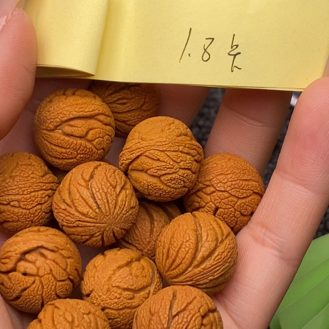 秦岭山脉龙纹桃核14