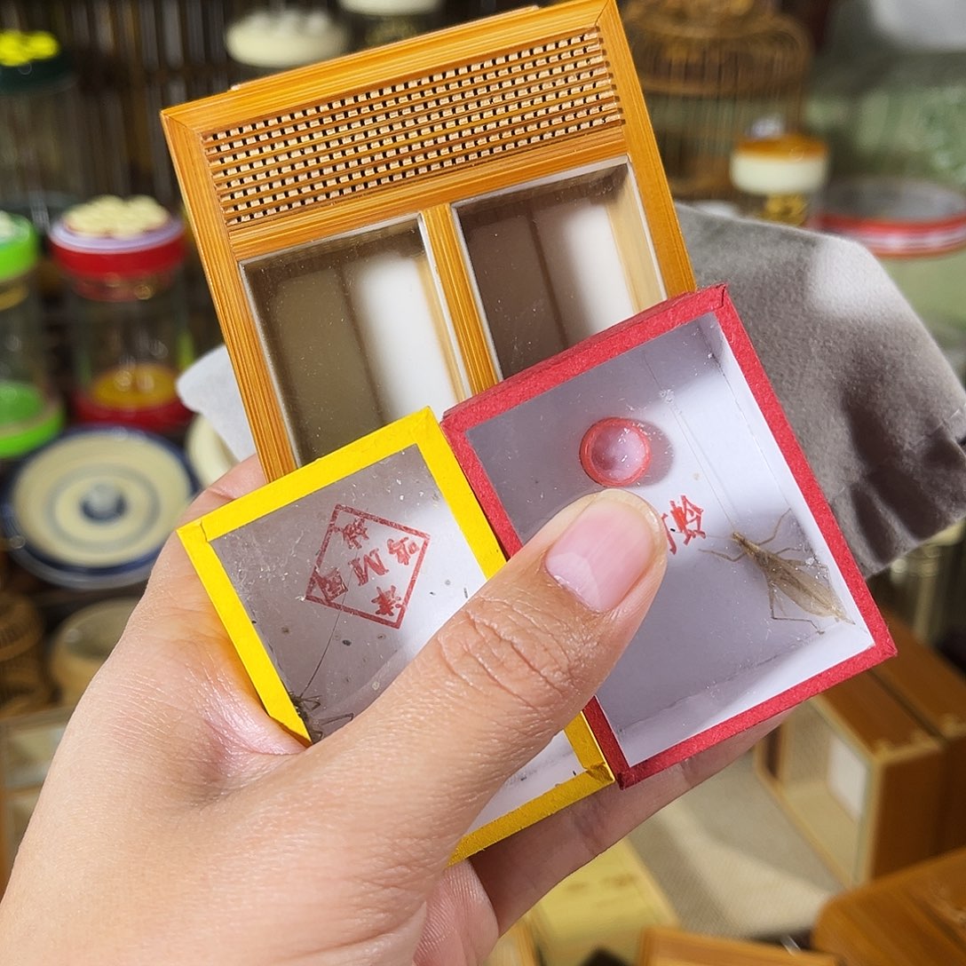 蟋蟀毛字款竹蛉盒+柬埔寨+断须黑紫