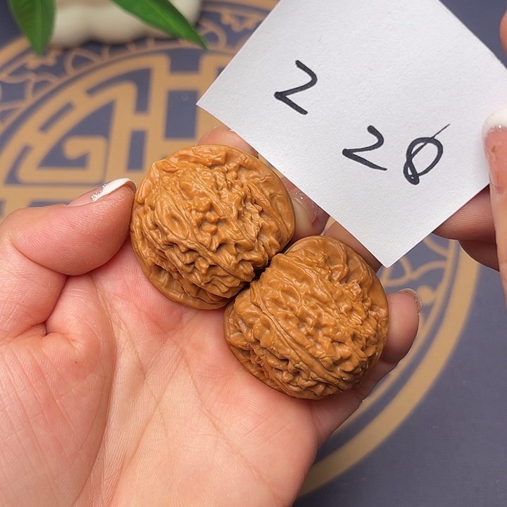文玩核桃把件白狮子