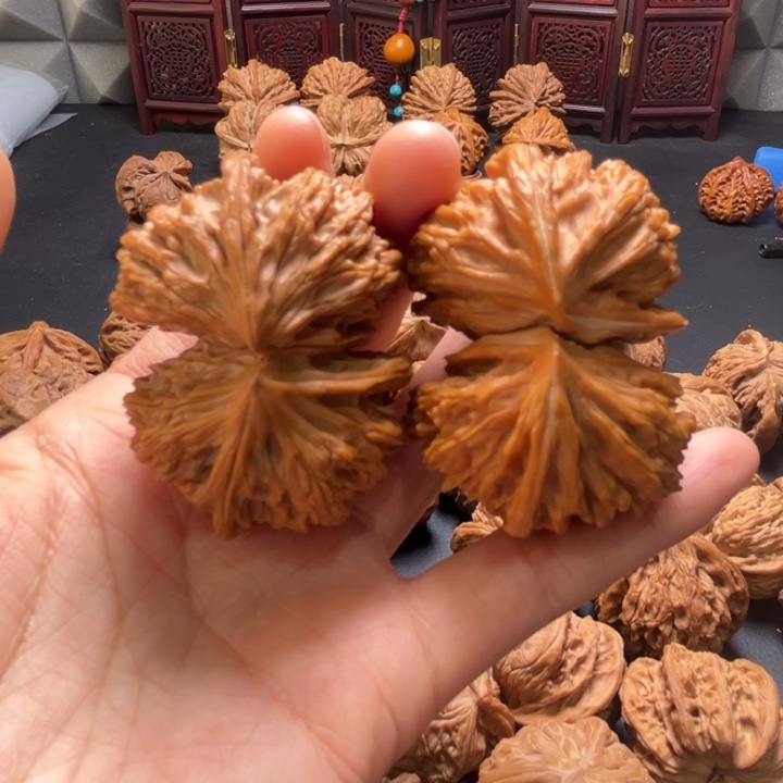 文山桥连50尺寸核桃哈哈哈哈哈哈