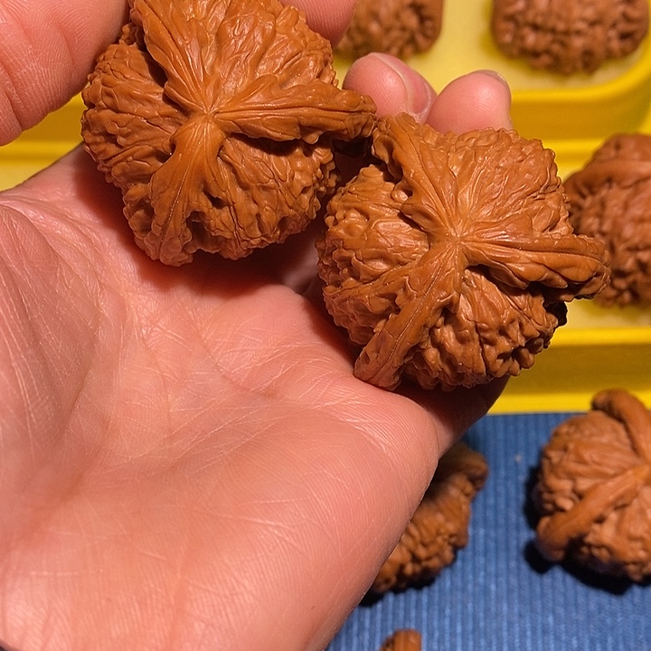 铁***匠文玩核桃把件白狮子三棱43