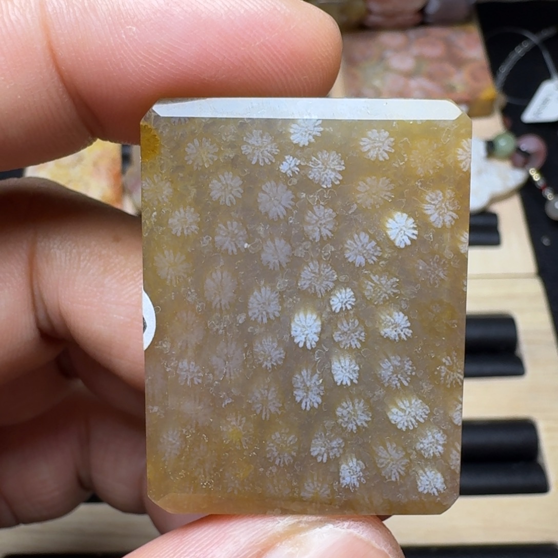 未镶嵌纯天然色有机玉石保真色硅化玉