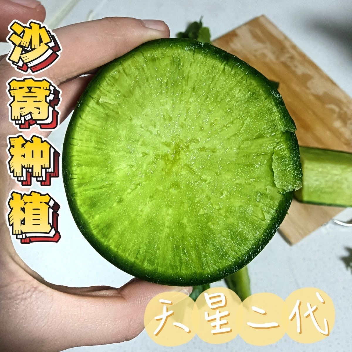 天星2号萝卜天津沙窝萝卜青萝卜口感天花板酥脆爽口水分充足