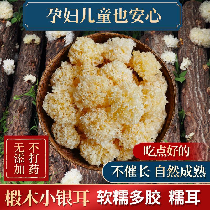 【古田特产】椴木小银耳干货无硫甜糯出胶高家用批发百合莲子银耳羹