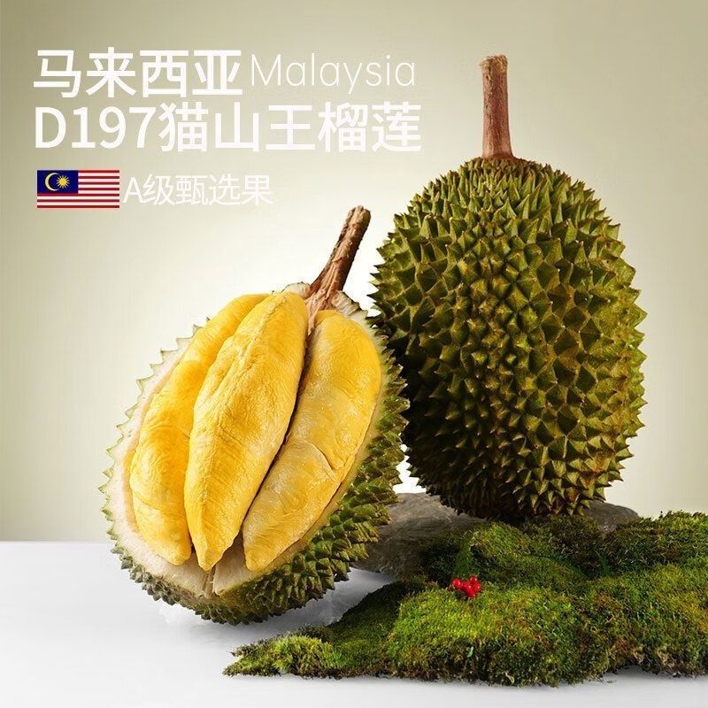 【液氮】马来西亚猫山王榴莲（一物一拍）猫山王马来西亚