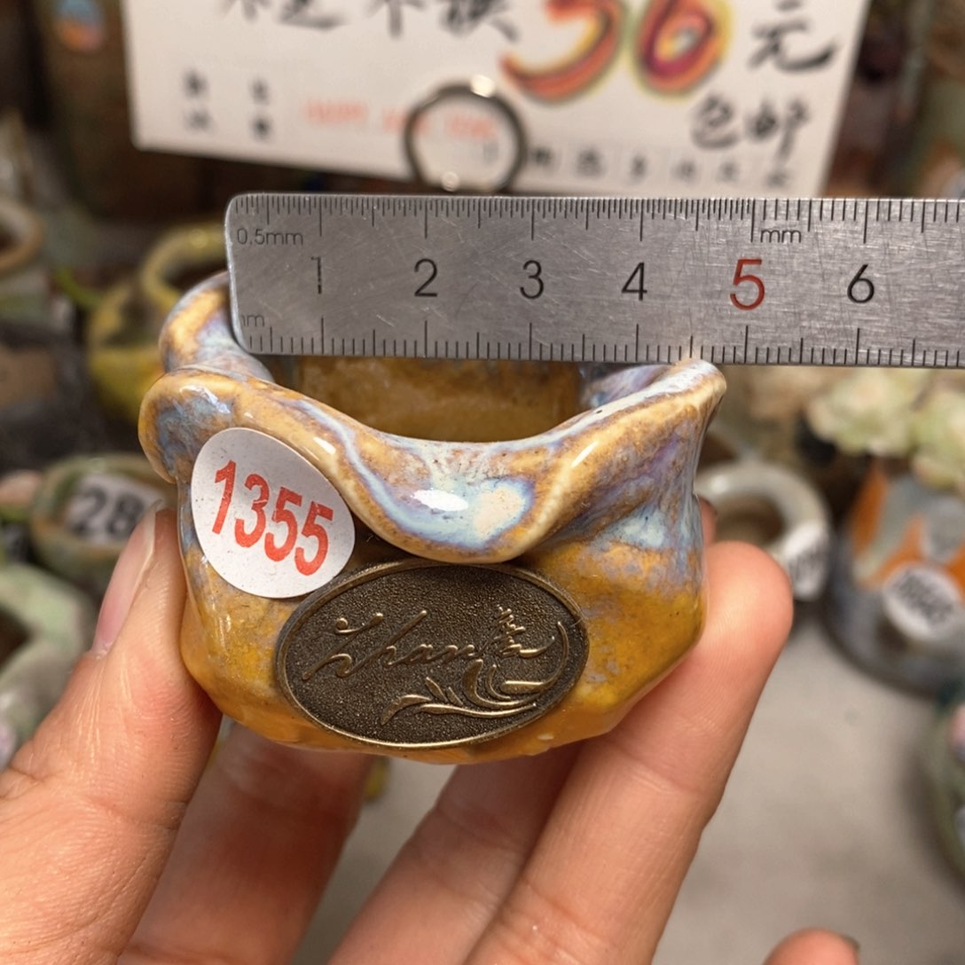 花盆拍5送一个小礼物