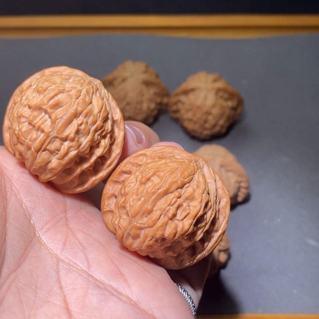 核桃36山西磨盘全品