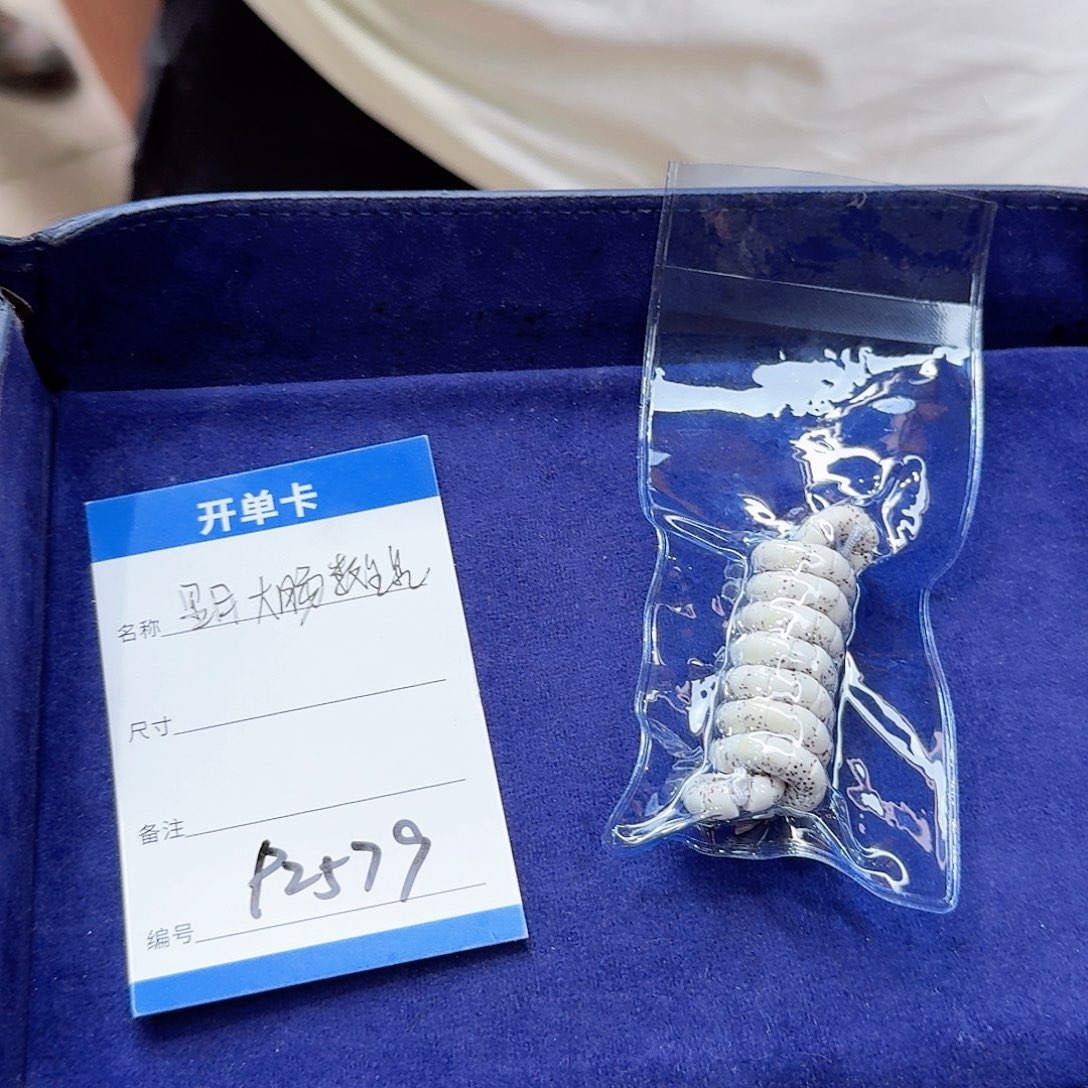 星月菩提吊坠P2579星月大肠6左右