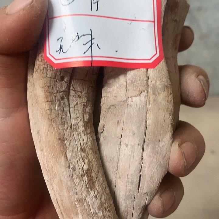 ⑤***月大叶紫檀（黑酸枝木类）