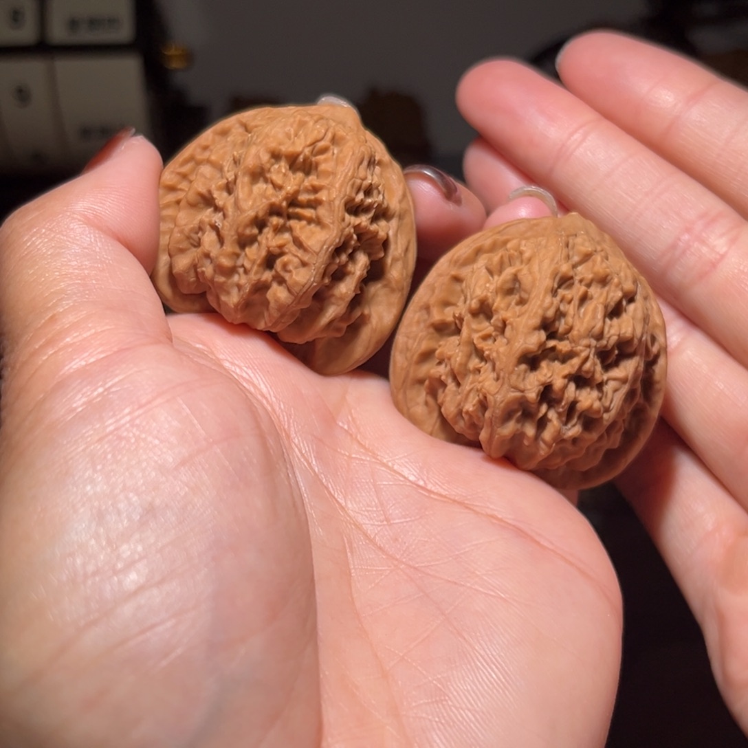 q***r木质类蚂蚁沟41全品