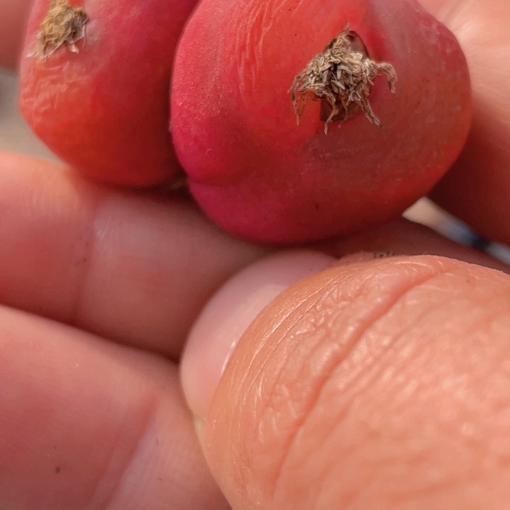 488888888865898888888