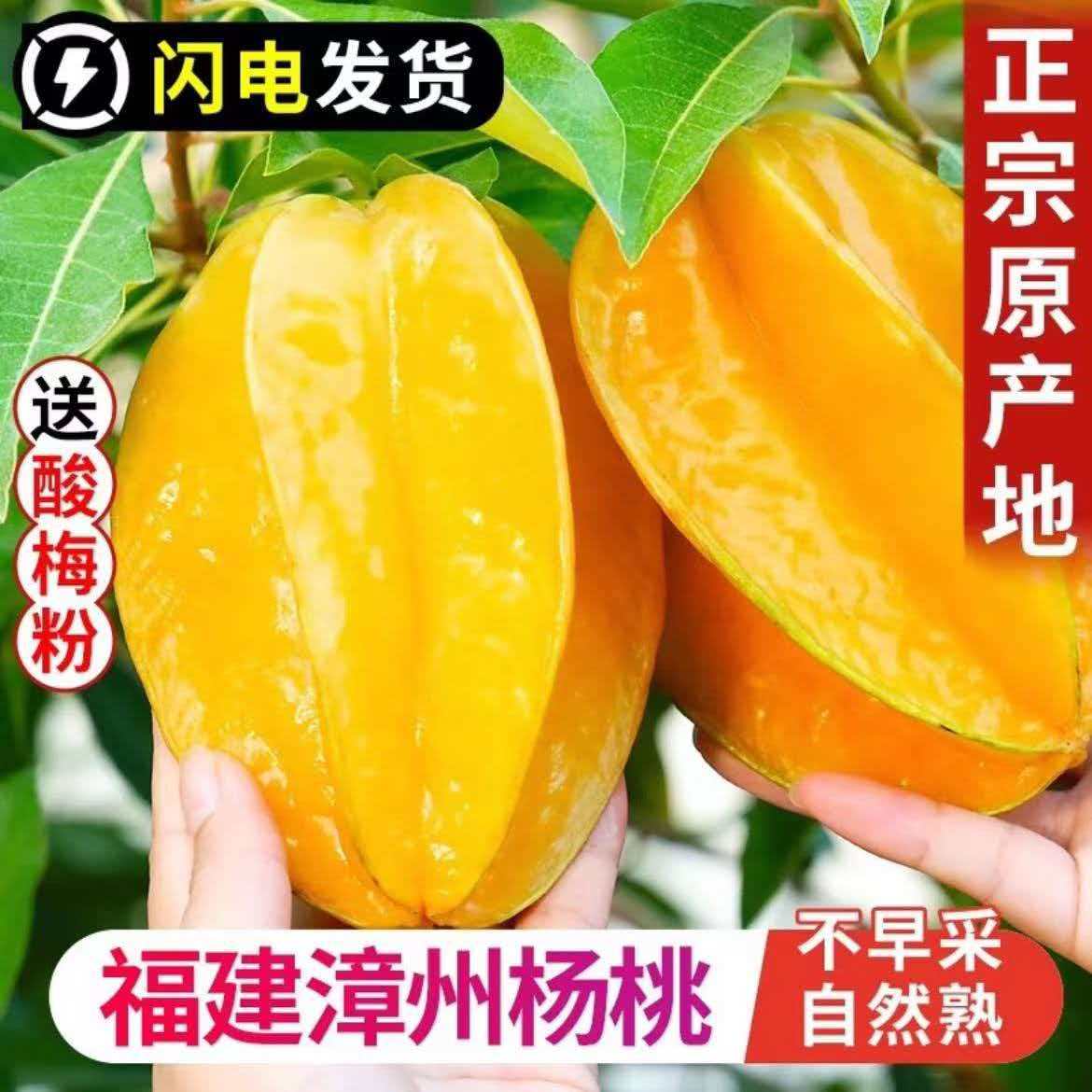 新鲜采摘正宗福建漳州下河树上熟香蜜甜杨桃孕妇水果产地直发