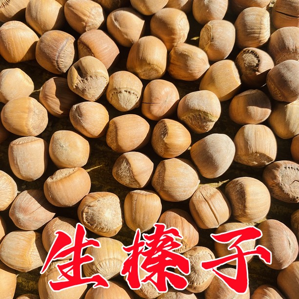 （生）东北野生山榛子，自然晒干！三斤～五斤