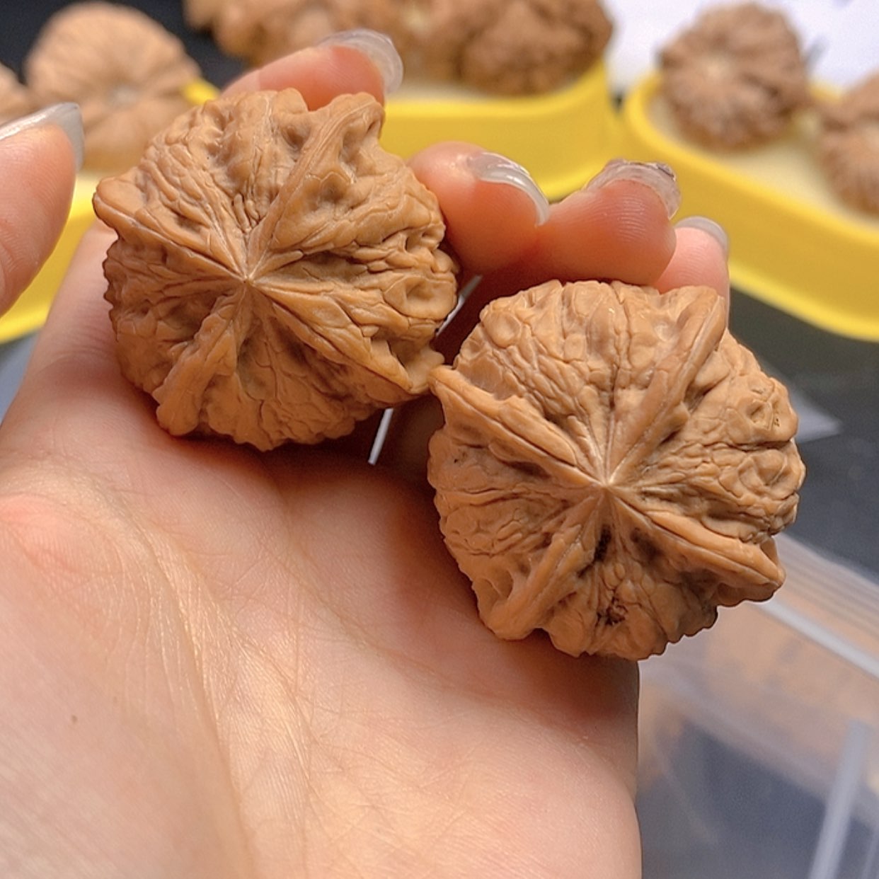 【闪购商品】把件文玩核桃文玩核桃四棱