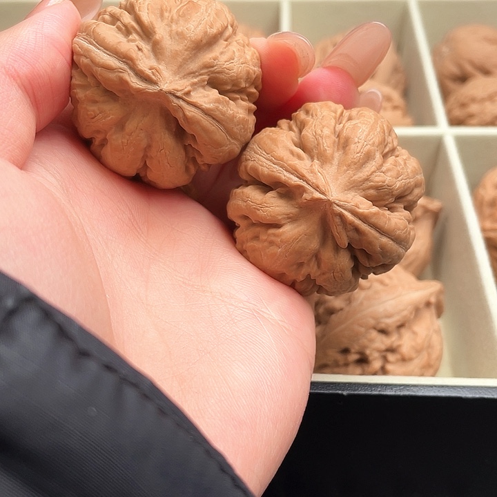 老***钓霸王龙核桃尺寸38+