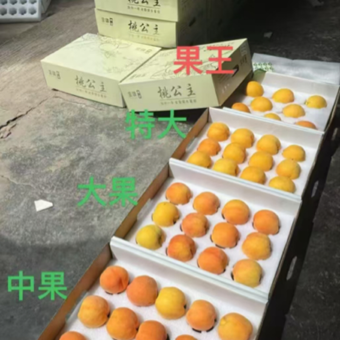 富疆加州一号12头特大黄金水蜜桃桃子同城送云南省