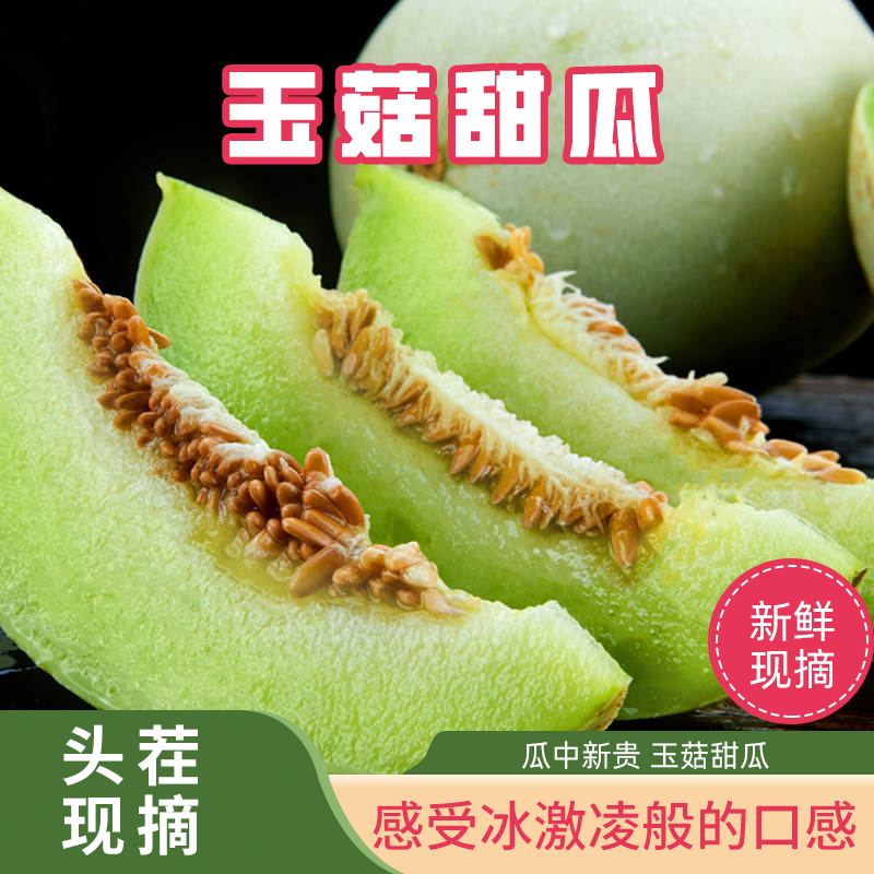 山东产地直发白玉菇甜瓜应季水果冰淇淋爆甜软糯香甜新鲜蜜瓜