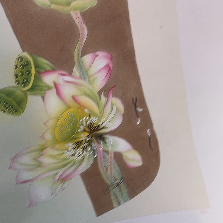 国画今天今天早上起来发现