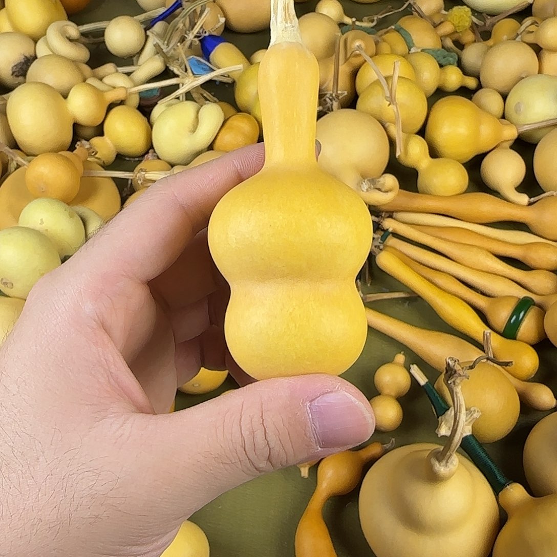 未***?ehshhwhwhwhwbwbwbw