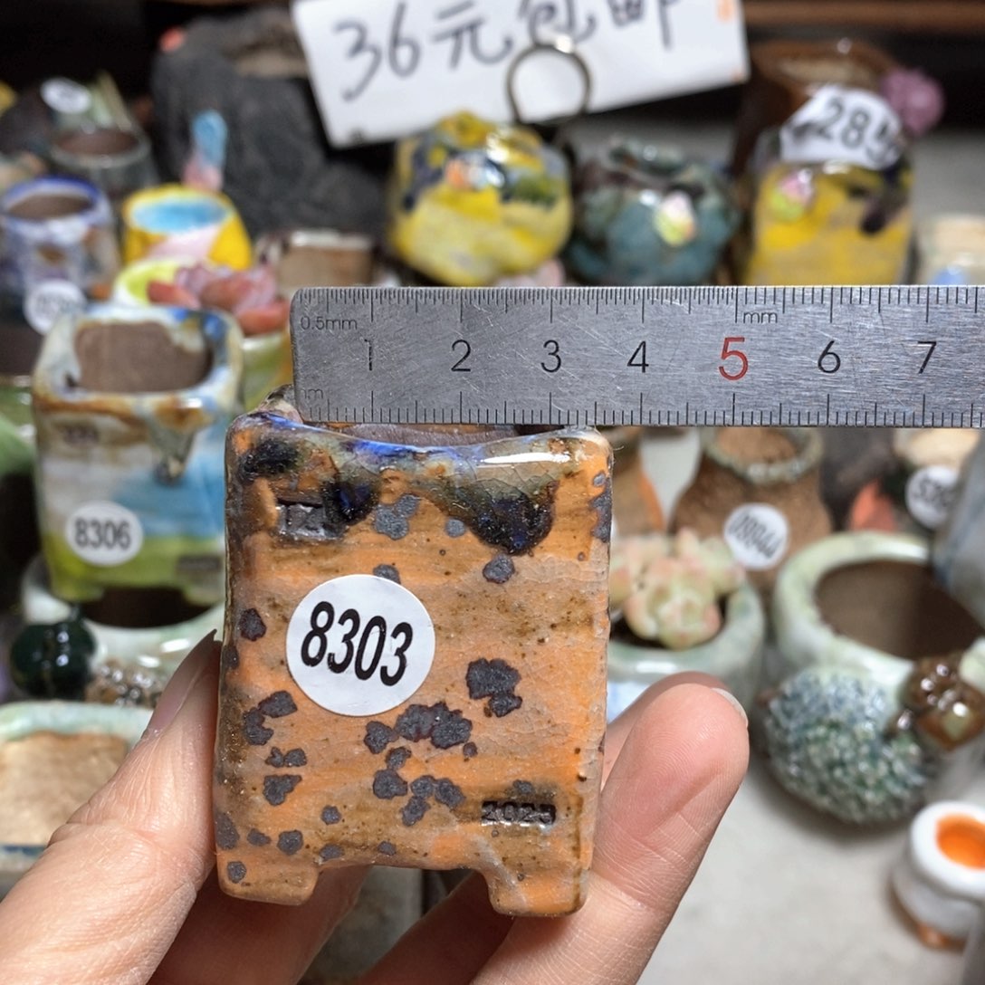 拍3送一个小礼物