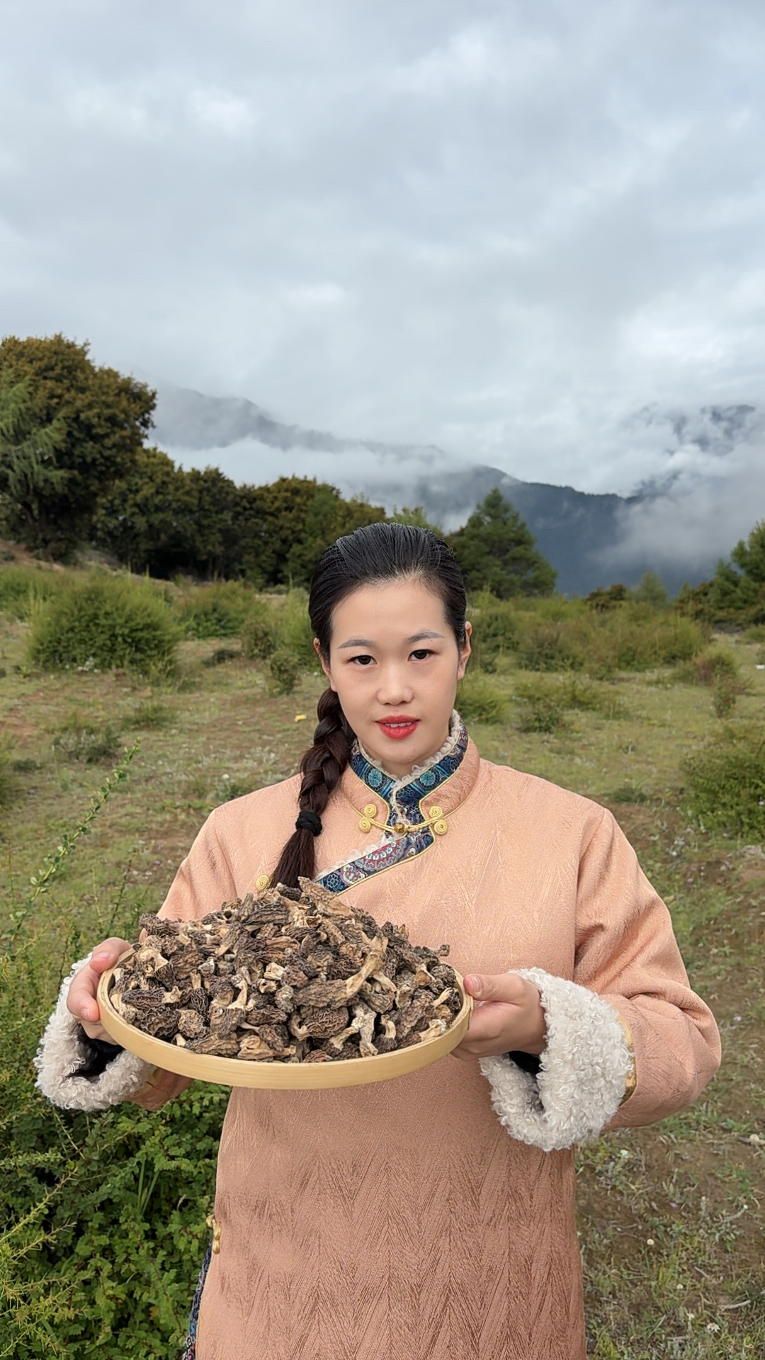 西藏高海拔羊肚菌