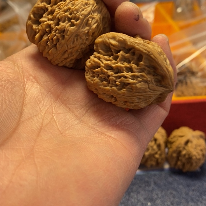 文玩核桃把件凯****7核桃