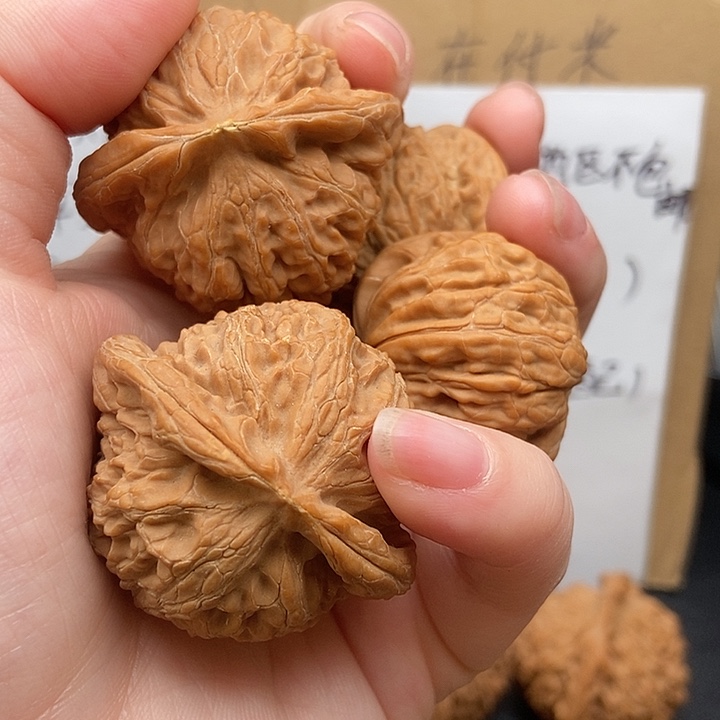 工***电大大大大大大宫灯黄尖磨盘