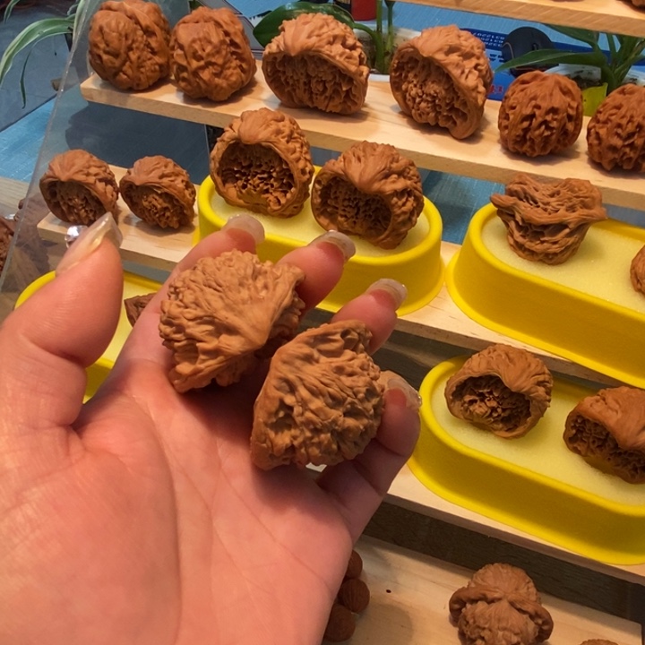 官方网站发布消息