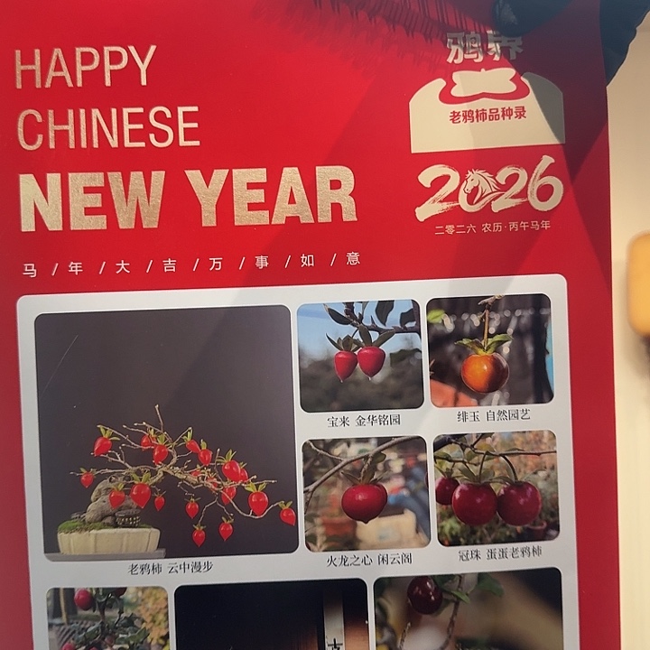 秀***院鸦界挂历2026年顺丰到付