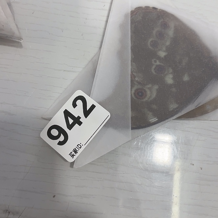 九***-蝴蝶标本定制942@