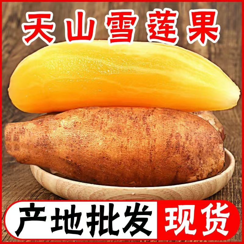 【顺丰送上门】正宗天山雪莲果新鲜水果当季整箱一级黄红心包邮江苏省