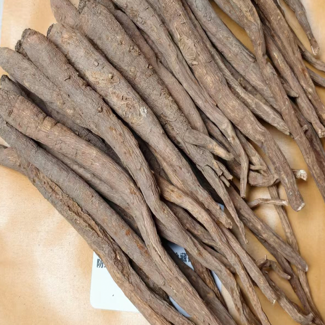 四川阿坝高海拔现收土货藏当归甜当归整根炖汤煮水炖排骨猪蹄超香
