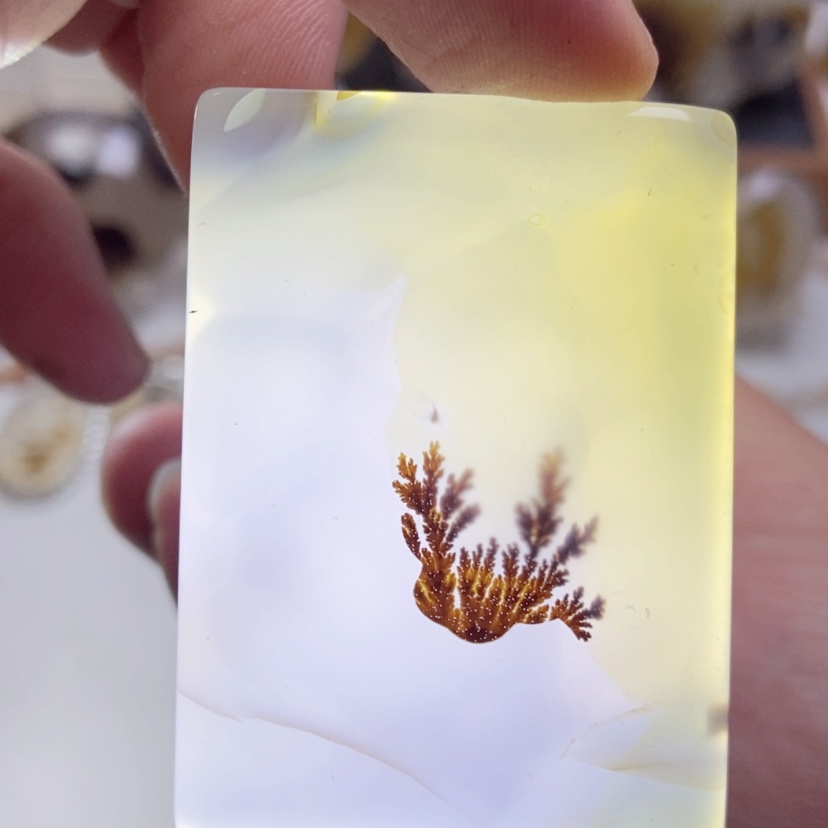 【闪购商品】玛瑙/玉髓颈饰未镶嵌