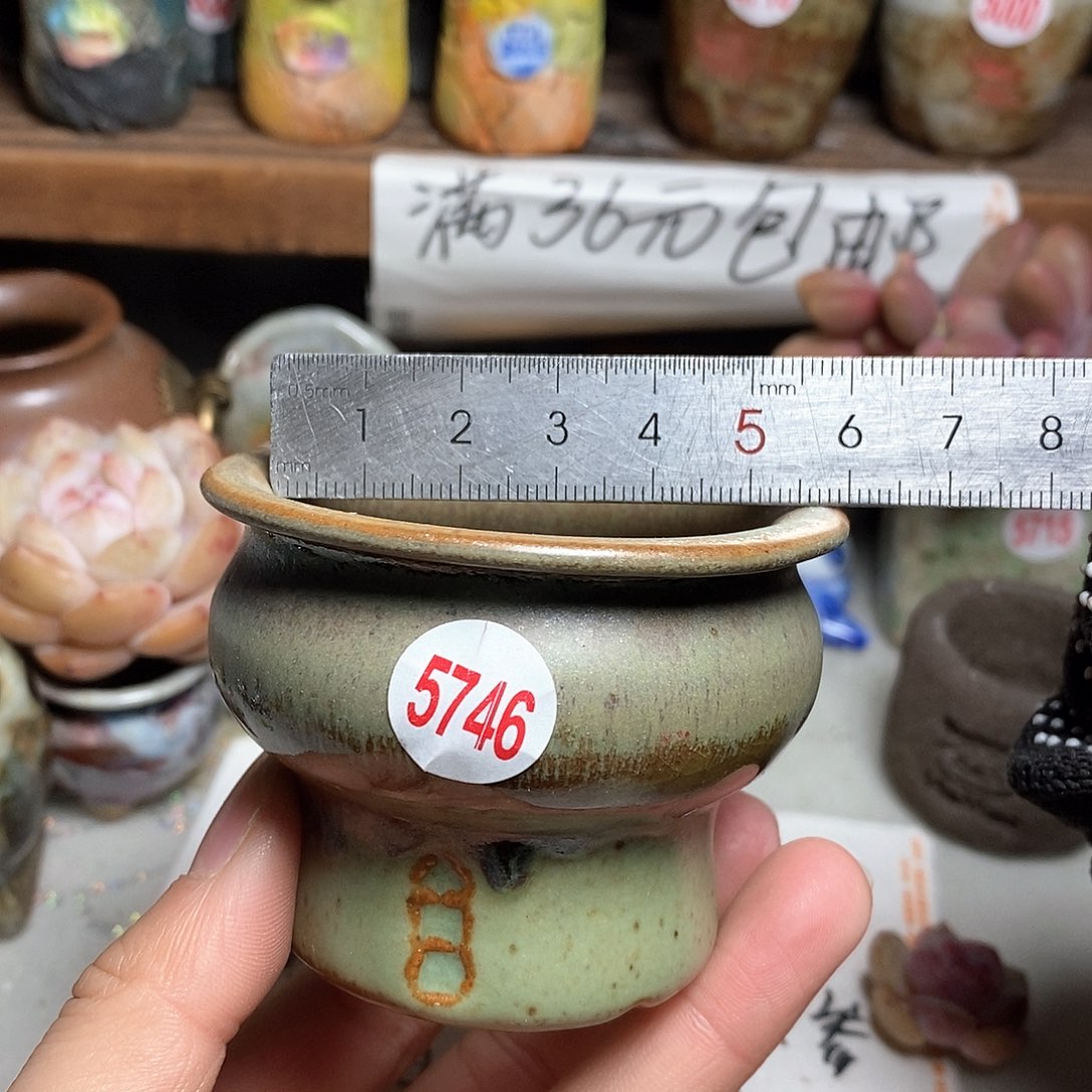 红陶拍5送一个小