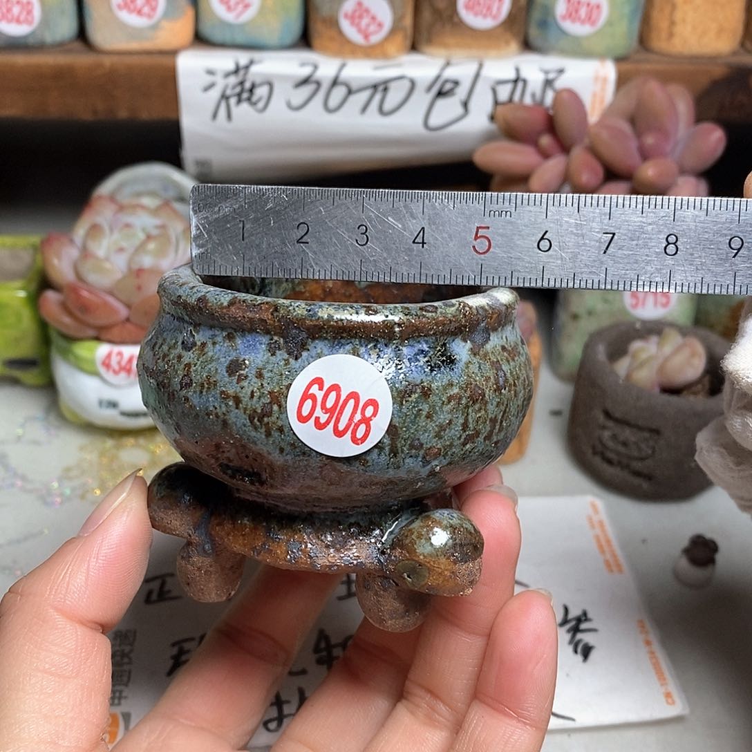 红陶拍5送一个小