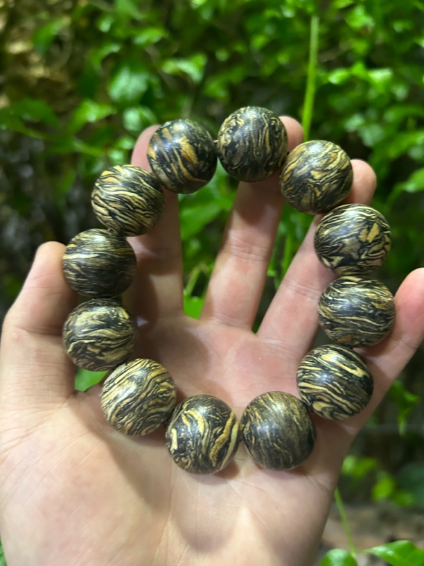 【土特产菇42】净含量47g