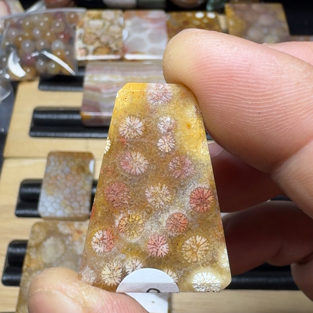 硅化珊瑚（珊瑚玉）纯天然色有机玉石未镶嵌