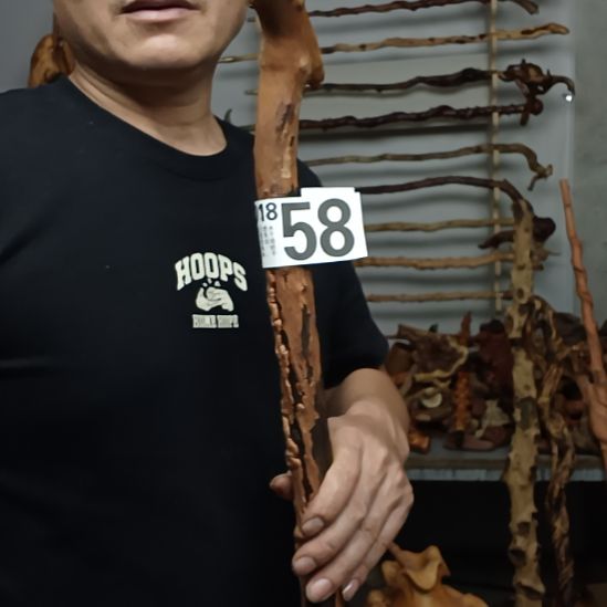 茶***味香榧木高山 檬子木文玩料