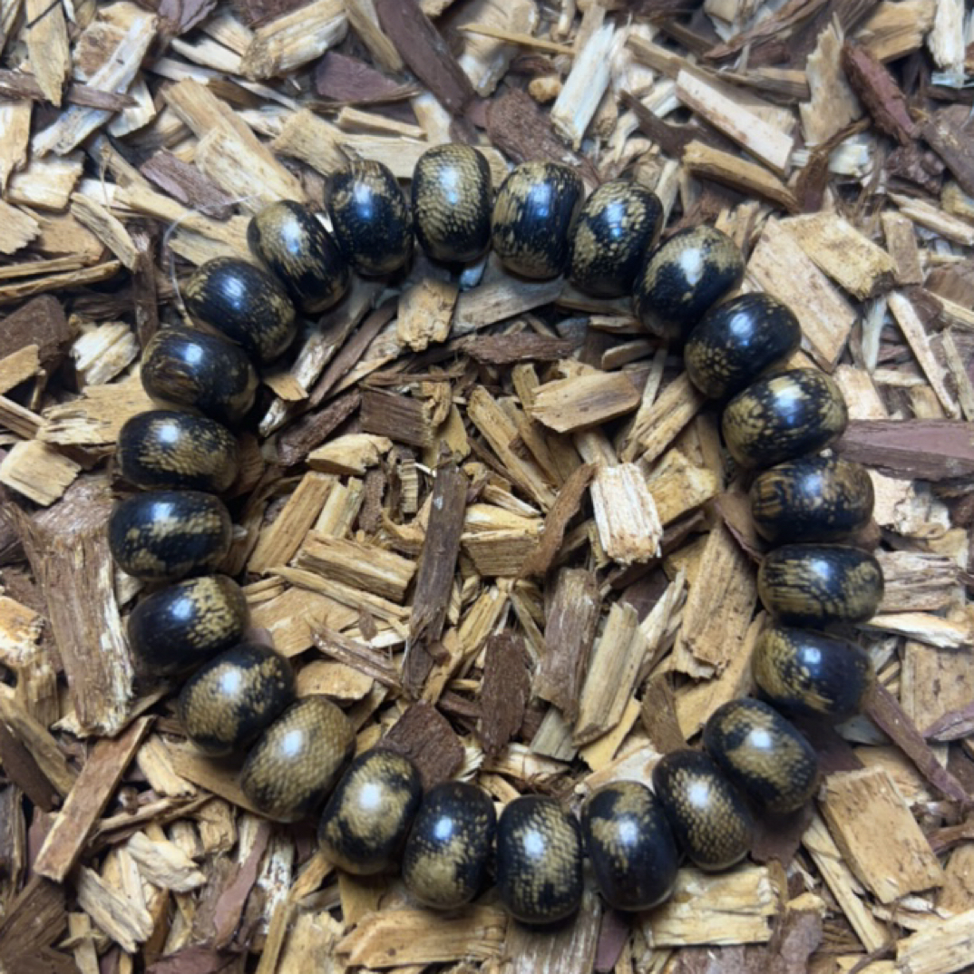 14 福来精选文玩沉香木作手串12mm